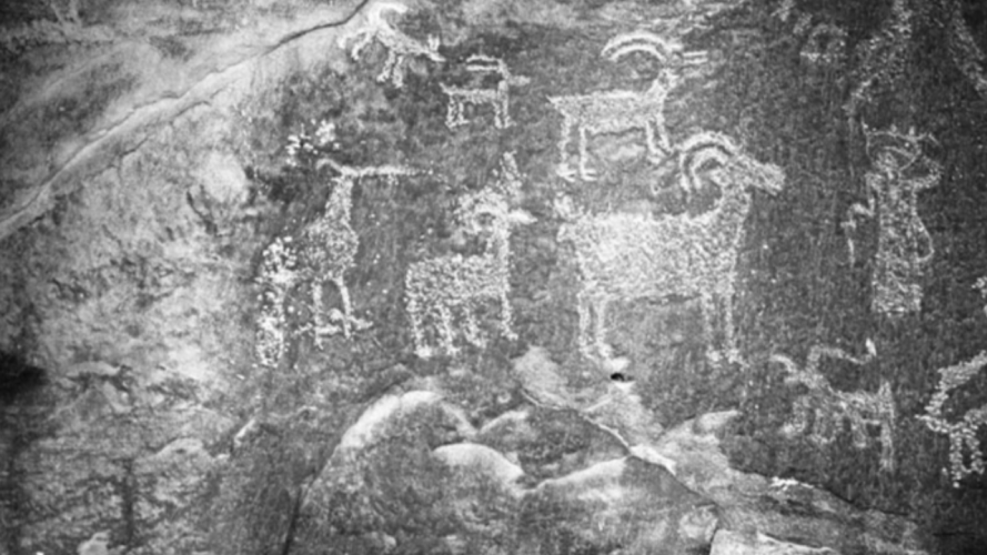 Uniquely Utah: Petroglyphs of Nine Mile Canyon - Vimarsana News