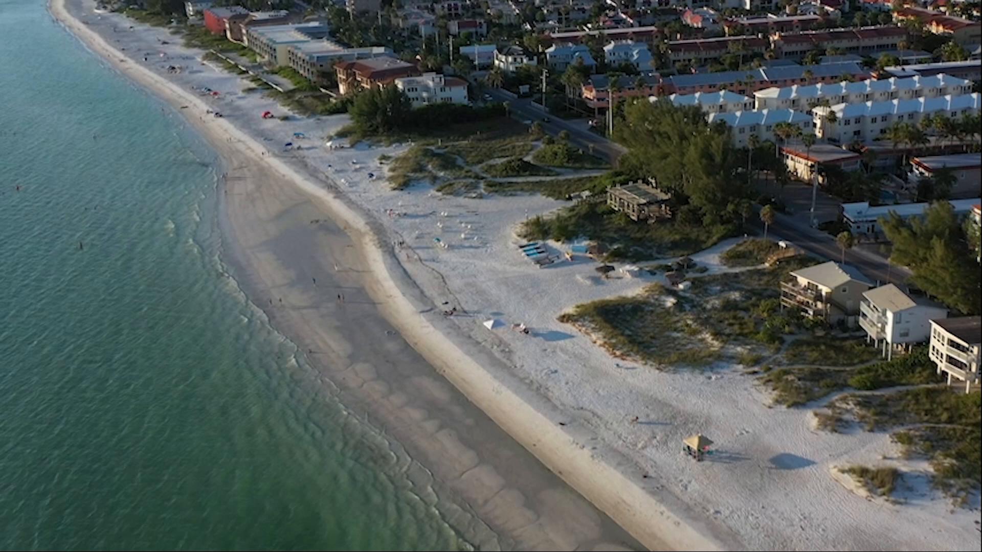 Monsters Across America: Season 1, Episode 3, "The Sarasota Skunk Ape