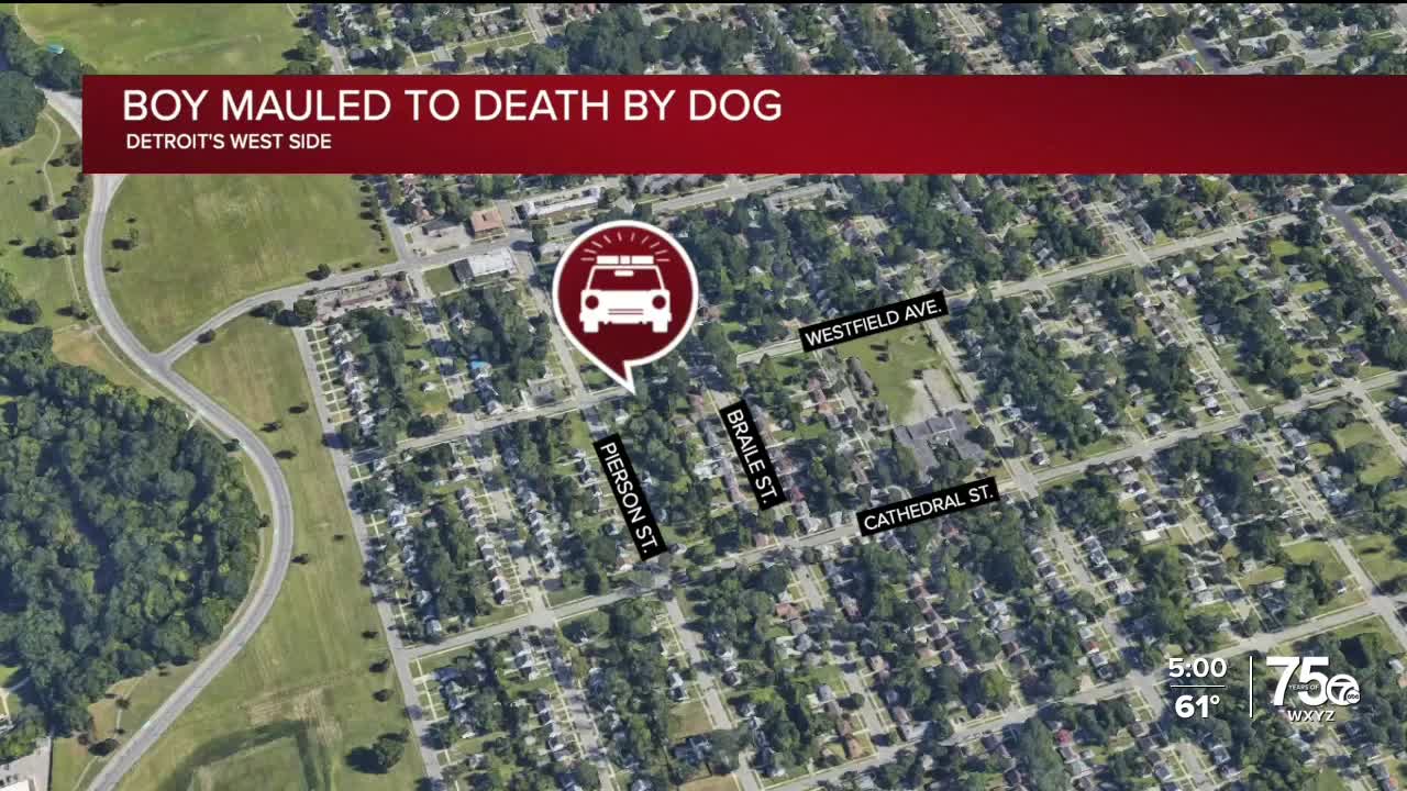 4-year-old boy mauled to death by dog in Detroit, police say