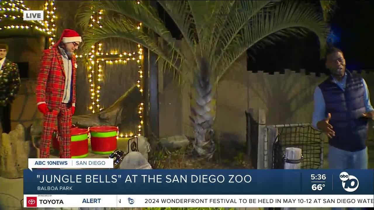 Jungle Bells at the San Diego Zoo