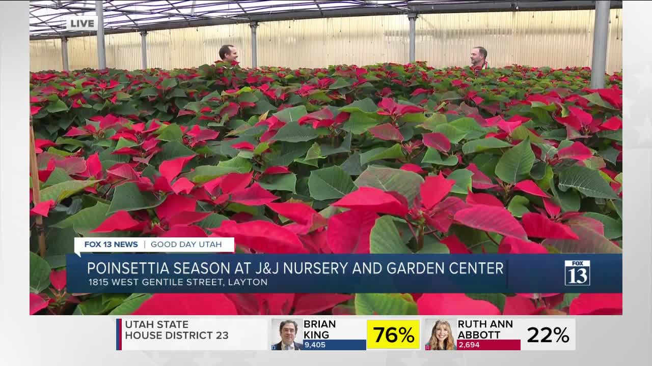 J&J Nursery and Garden Center