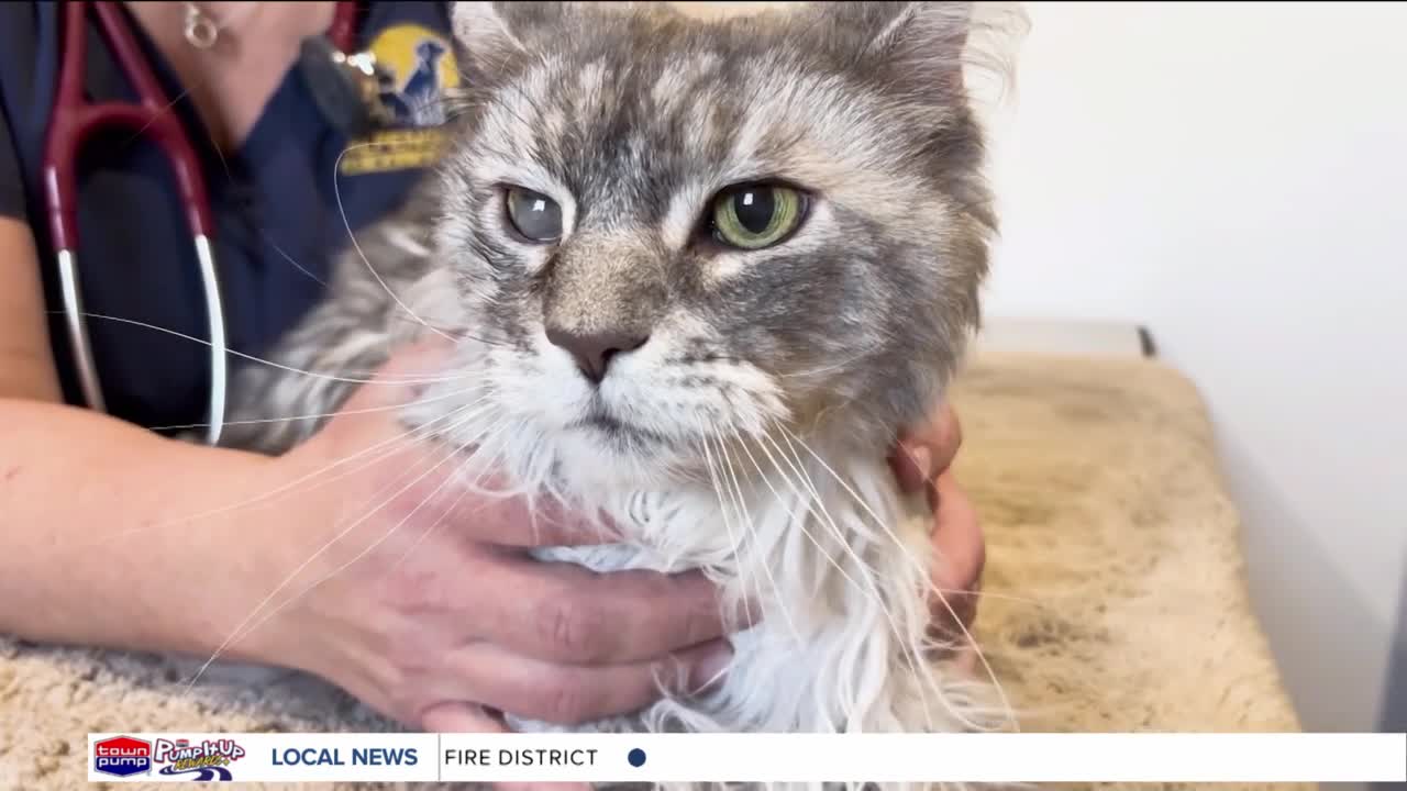 Traveling animal eye specialist comes to Bozeman