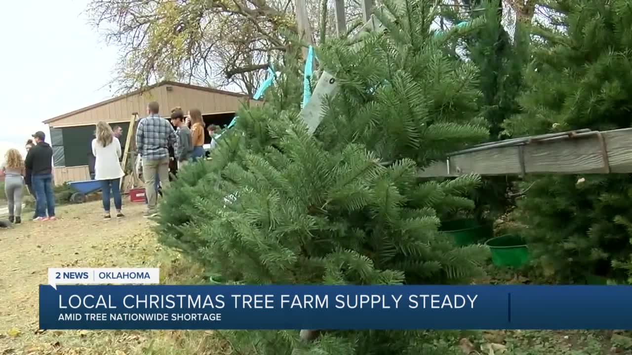 Owasso Christmas tree farm keeping supply steady amid nationwide shortage