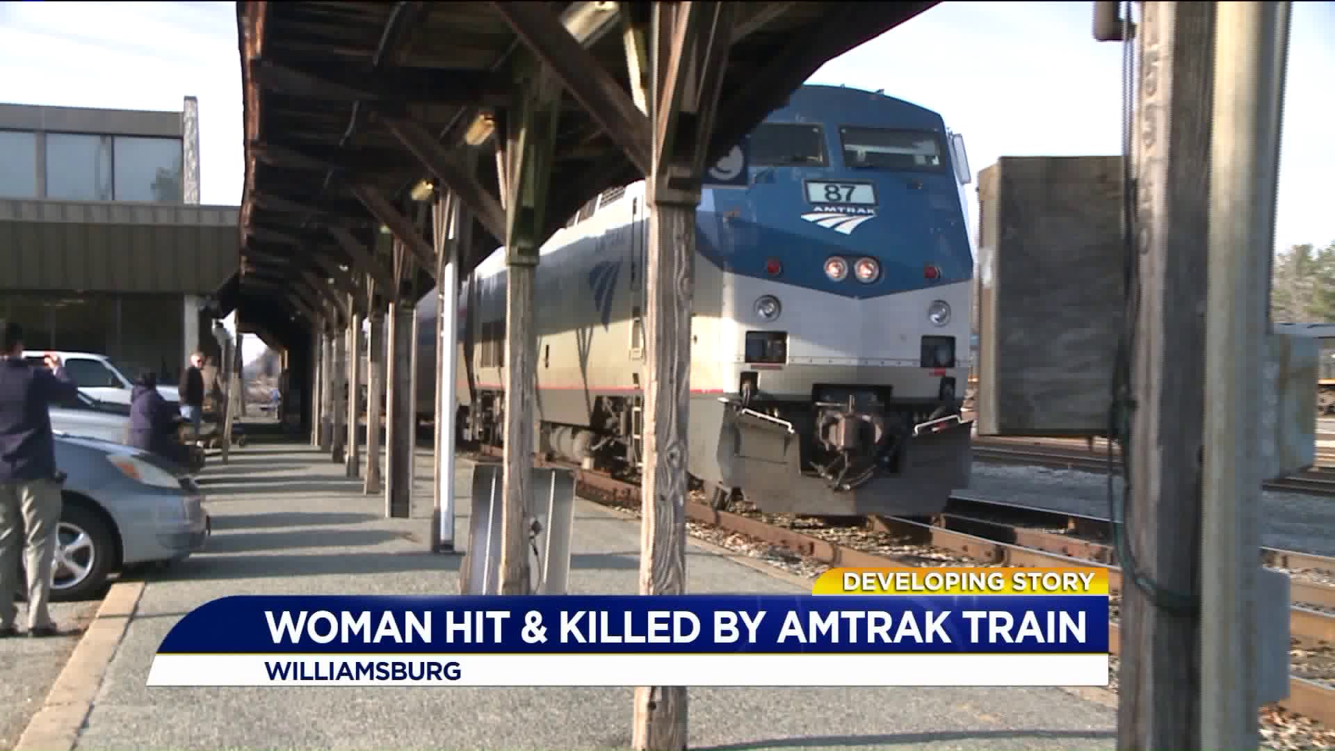 Woman dies after being hit by train in Williamsburg, second train ...