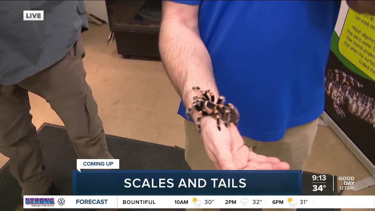 Scales and Tails in Kearns, Utah