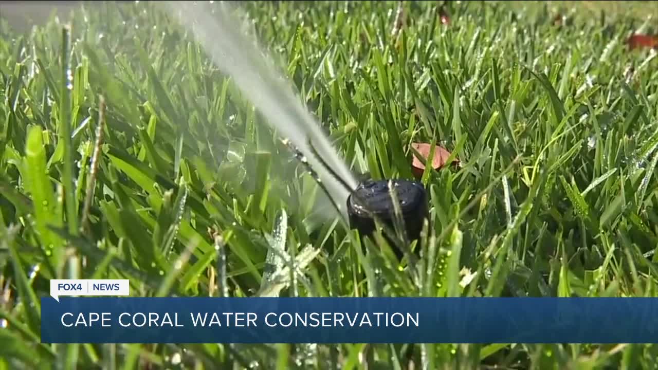 Cape Coral city council members look to fix irrigation system