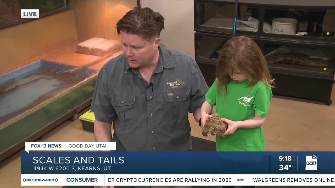 Scales and Tails in Kearns, Utah