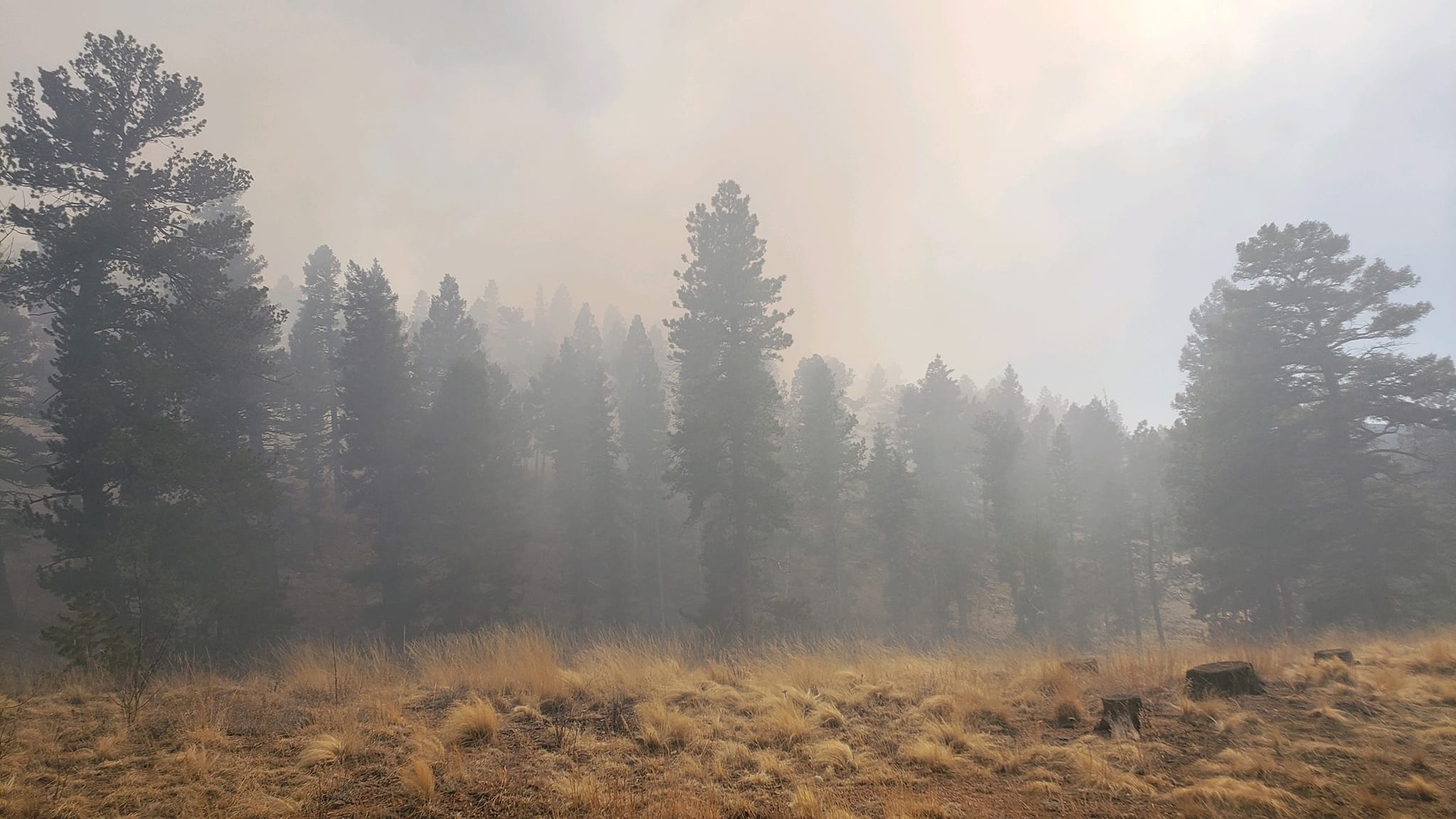 U.S. Forest Service; The Rampart Fire is 100 percent contained