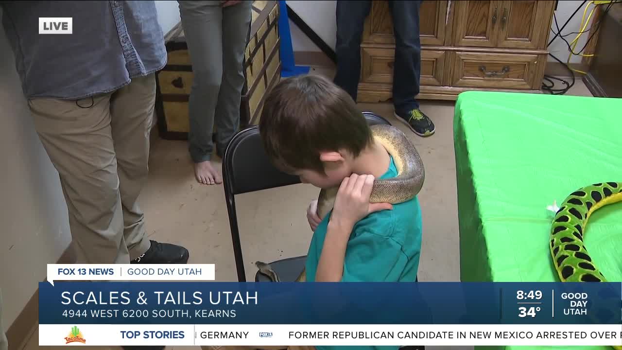 Scales and Tails in Kearns, Utah