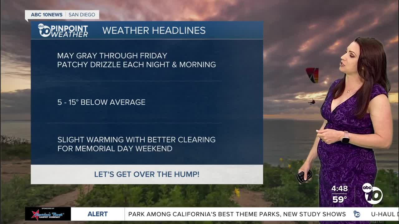 Megan's Forecast: Misty morning & more May Gray - Vimarsana News