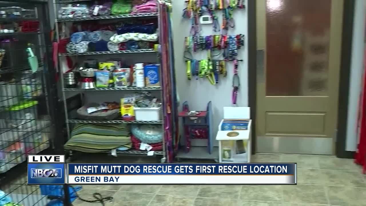 Misfits Mutts Dog Rescue opens first ever location