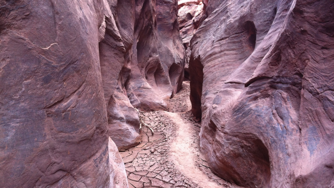 2 still missing after others rescued from slot canyon - Vimarsana News
