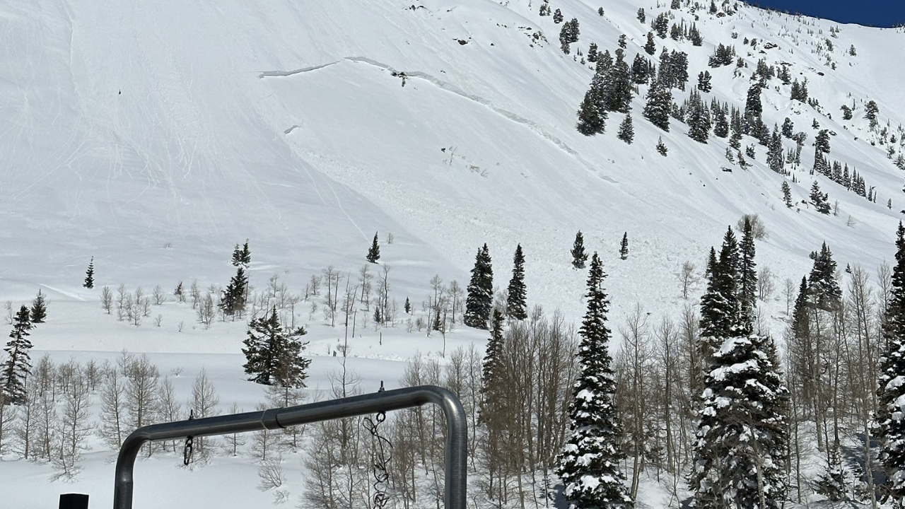 Search underway at Snowbird after unexpected avalanche, interlodge ordered - Vimarsana News