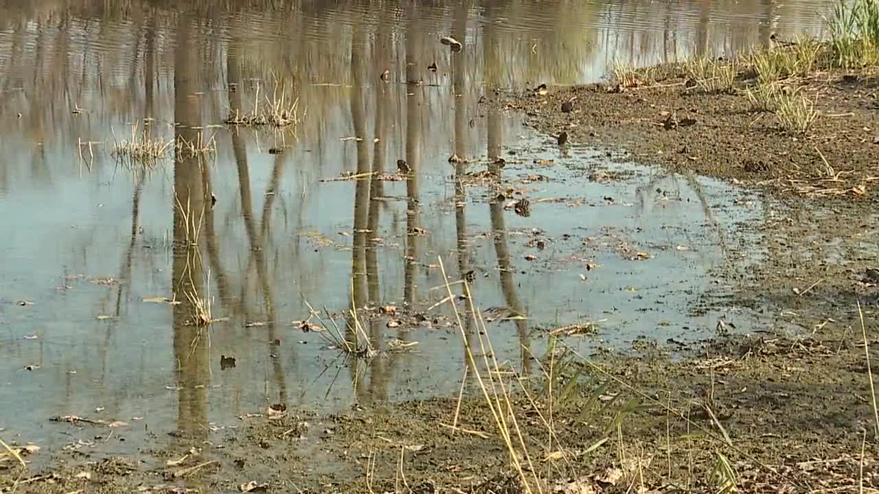 Bipartisan lawmakers, hunters, fishermen ask for $30M for wetlands - Vimarsana News