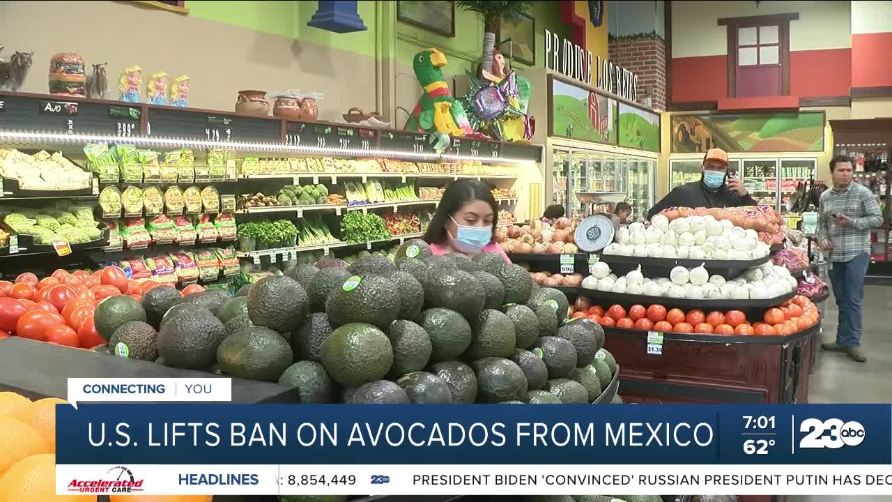 What does the ban and lift on avocados from Mexico mean?