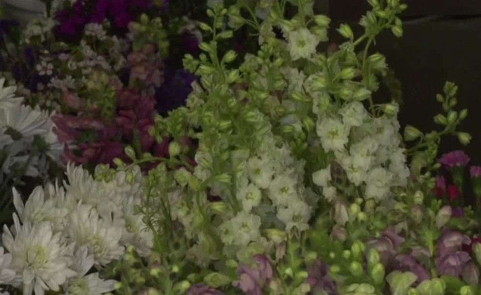 How a nationwide flower shortage has impacted Butte florists