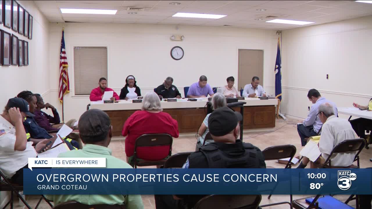 Overgrown properties cause concern among residents - Vimarsana News