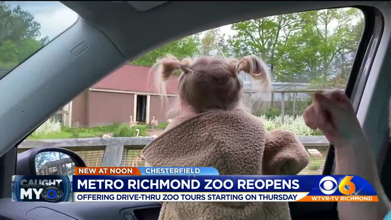 Metro Richmond Zoo offers drivethru narrated tours