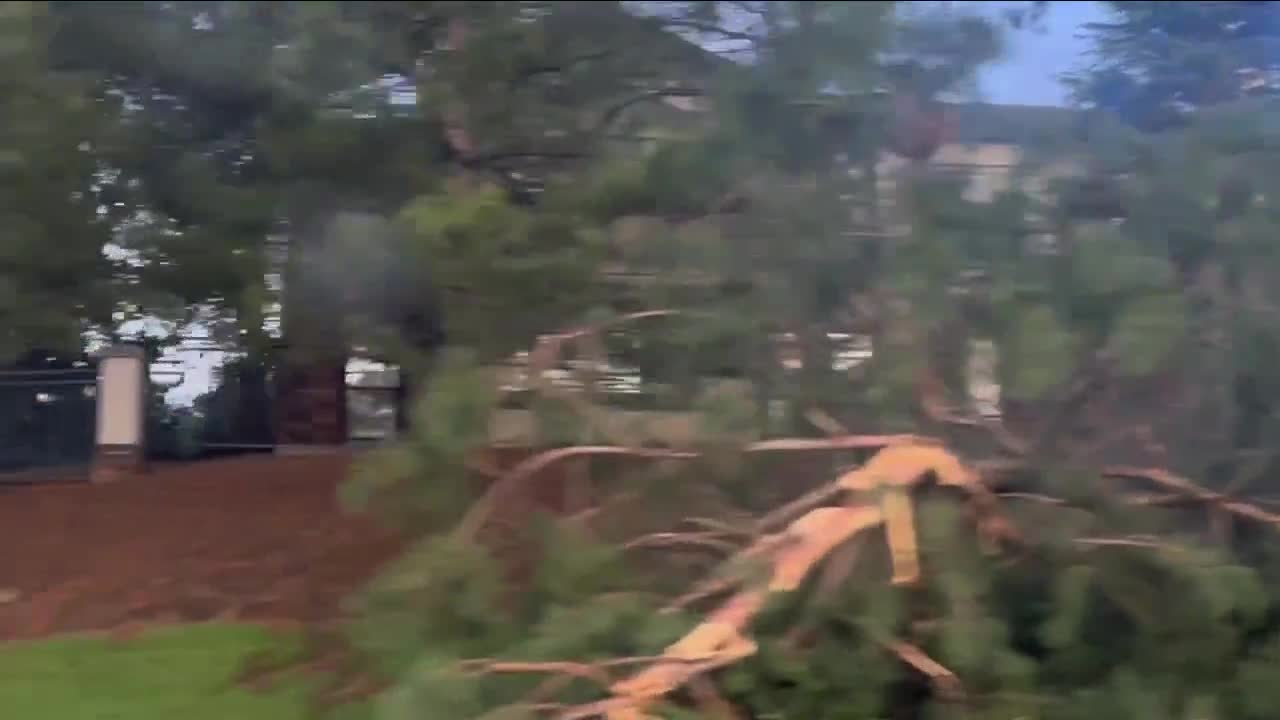 Where to drop off tree branches, debris from Thursday's tornado and storm