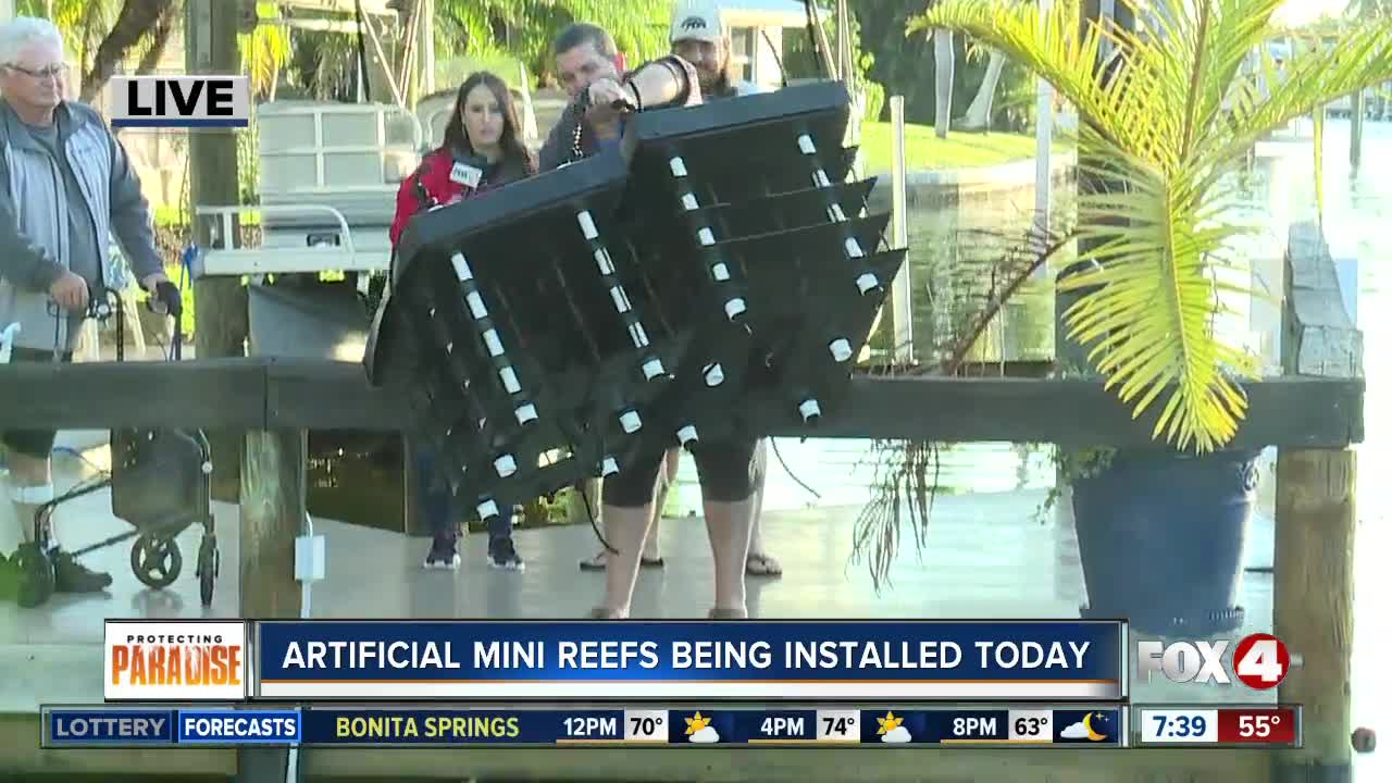 Only Fox 4 joins Ocean Habitats to install artificial mini reefs on