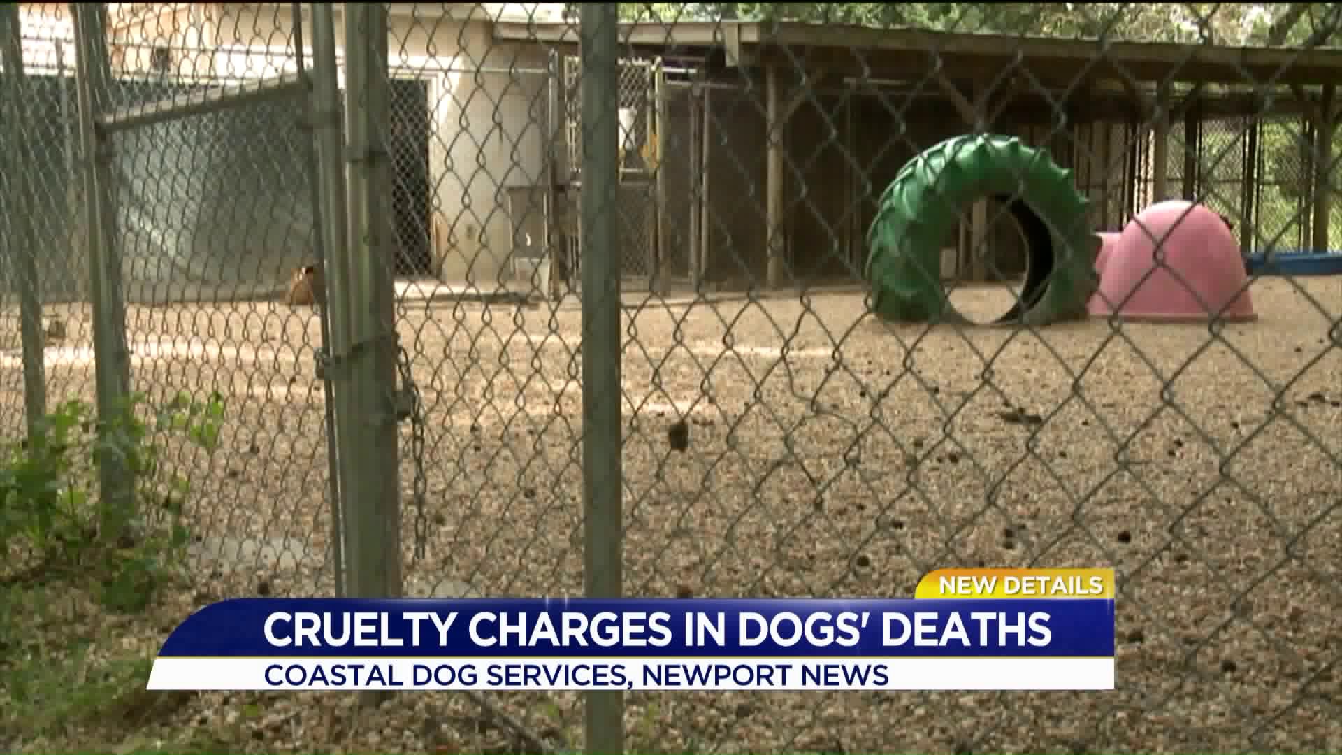Newport News boarding kennel, owner charged after investigations into
