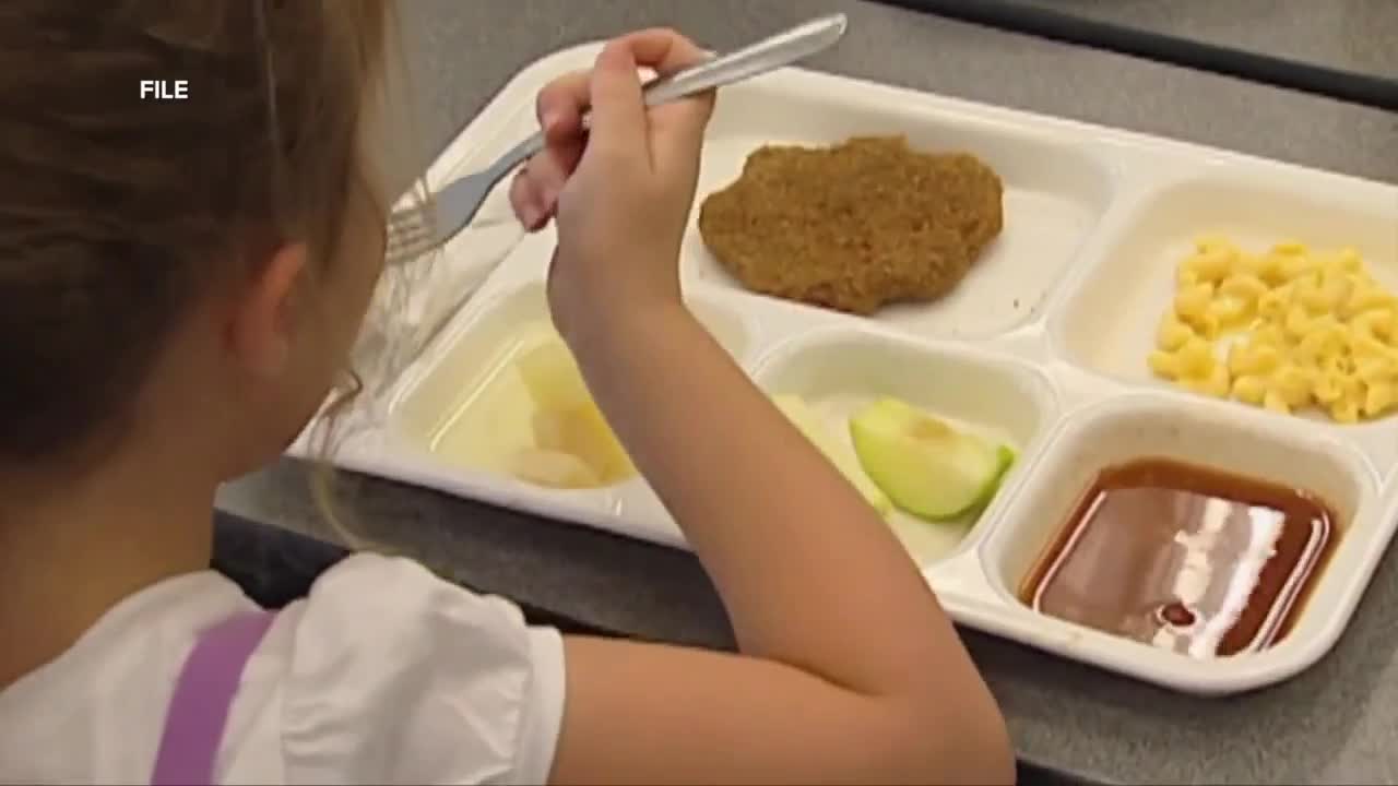 Free meals for all school children causing debate - Vimarsana News