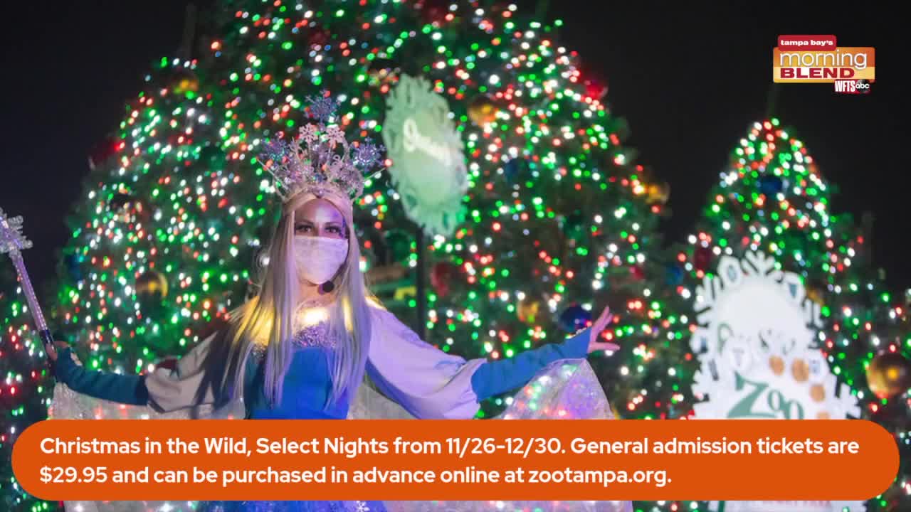 Zoo Tampa At Lowry Park Christmas 2022 Hours Christmas In The Wild At Zootampa