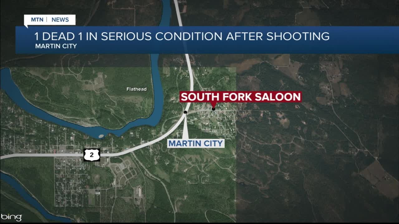 1 dead, 1 in serious condition after Martin City shooting