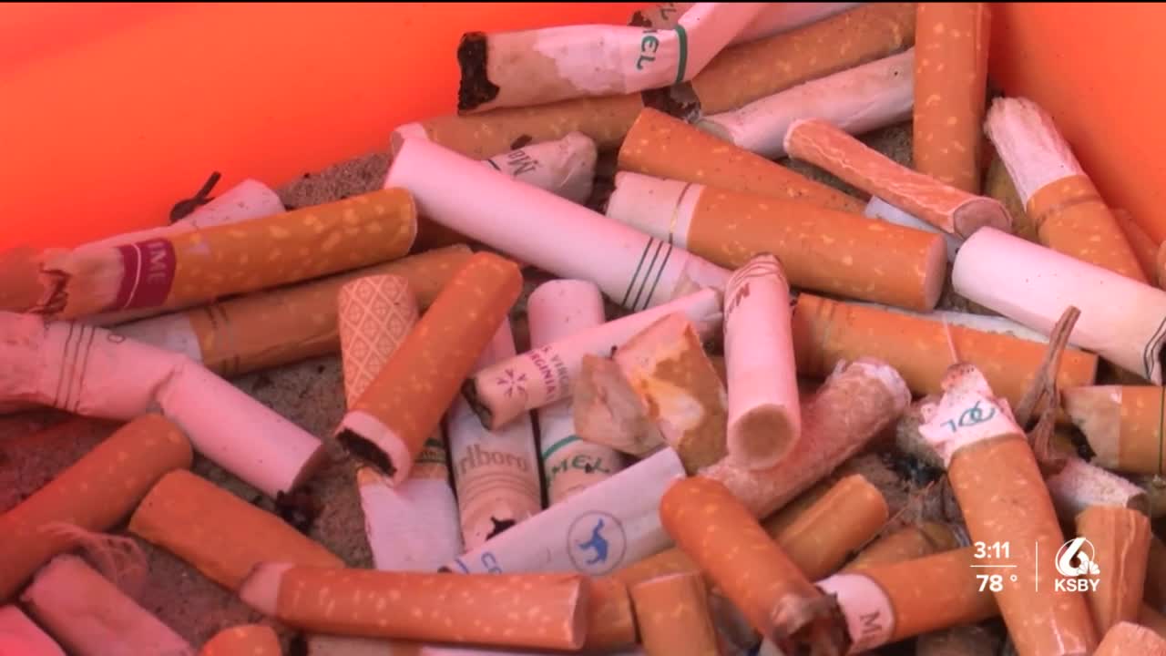 Pismo Beach cracking down on offleash dogs, public smoking