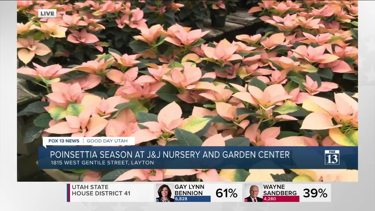 J&J Nursery and Garden Center