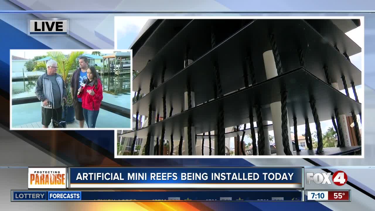 Only Fox 4 joins Ocean Habitats to install artificial mini reefs on