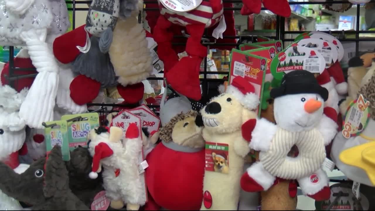 Broome County Humane Society Seeks Holiday Donations Wbng