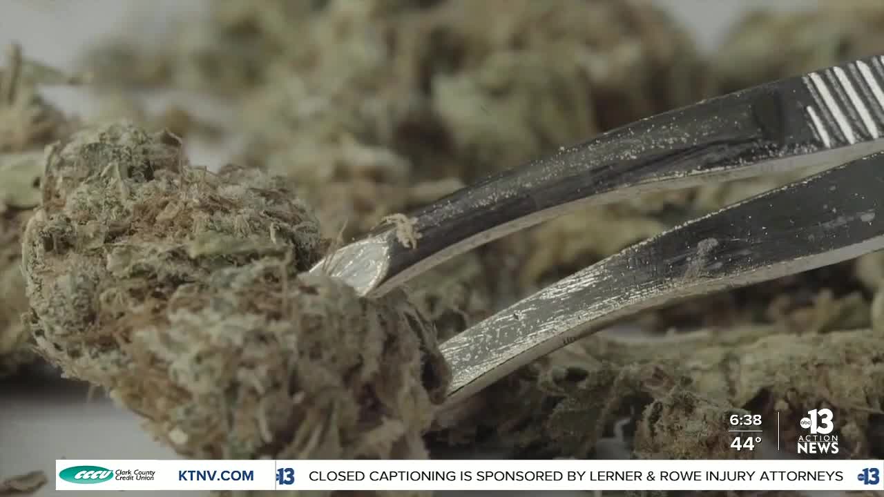 City of Las Vegas approves cannabis lounge regulations