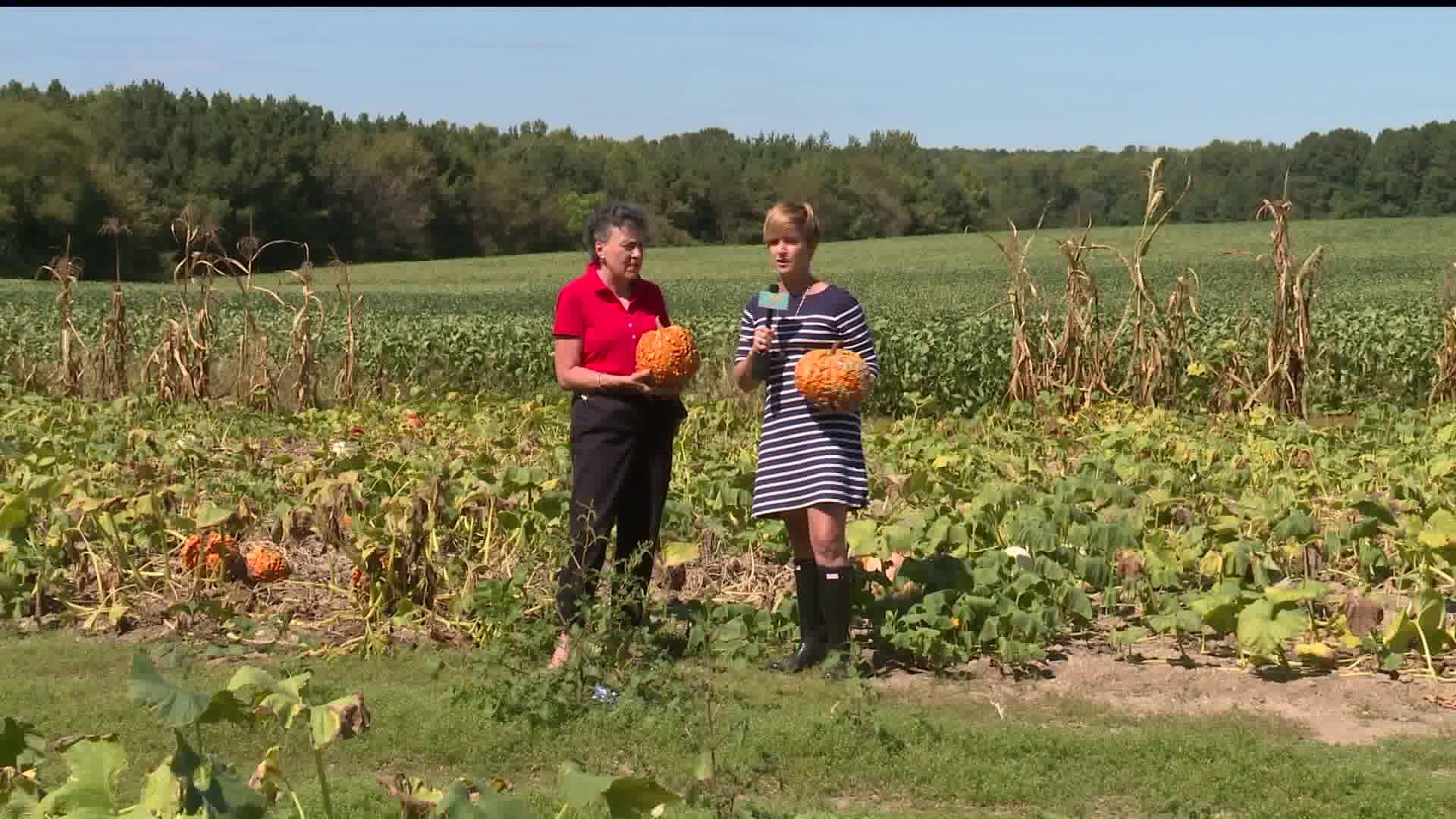 Enjoy fall festivities at Richlands Dairy Farm & Creamery