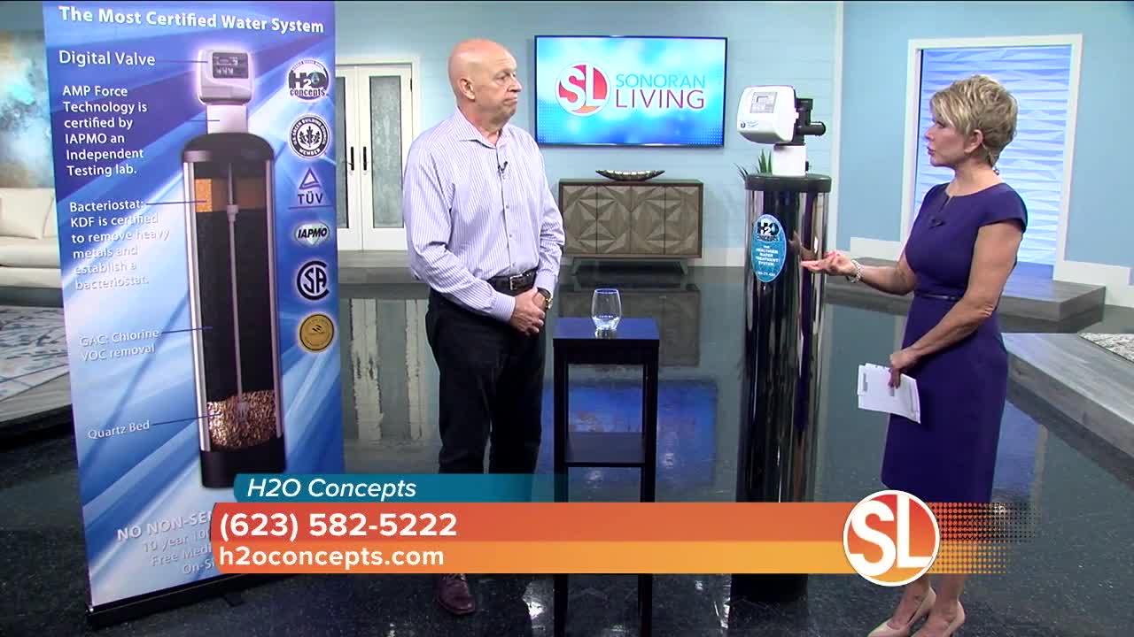 Whole house water filtration system