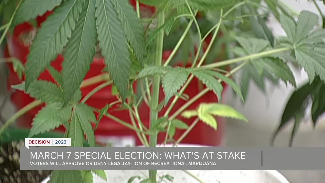 DECISION 2023: Oklahomans to vote on recreational marijuana - Vimarsana News