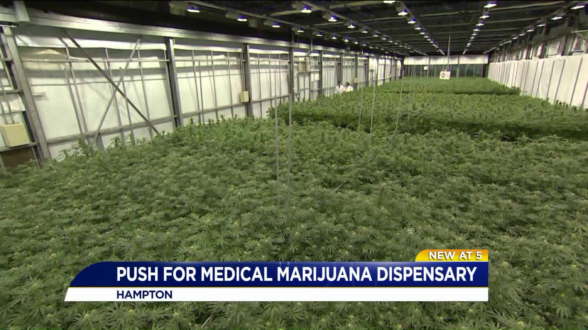 Hampton startup hoping to open medical marijuana dispensary