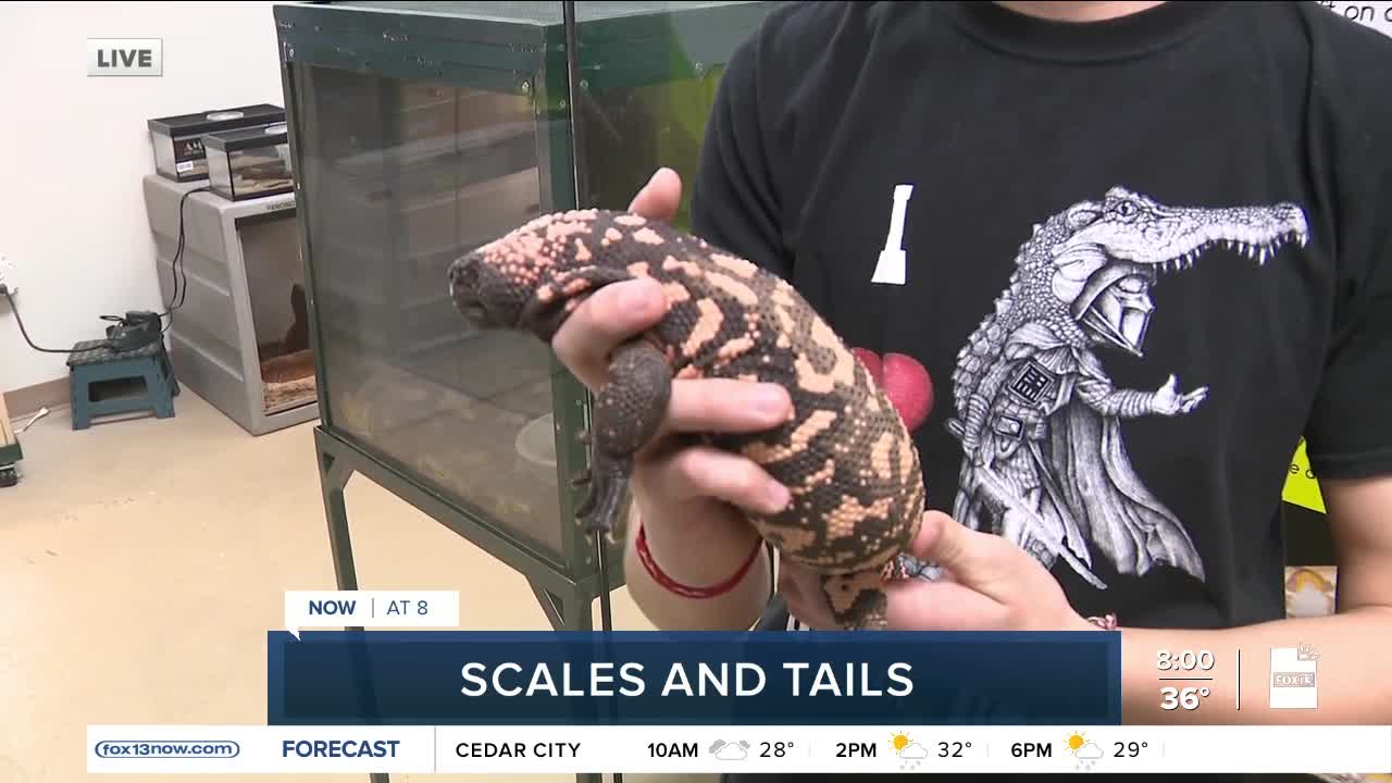 Scales and Tails in Kearns, Utah