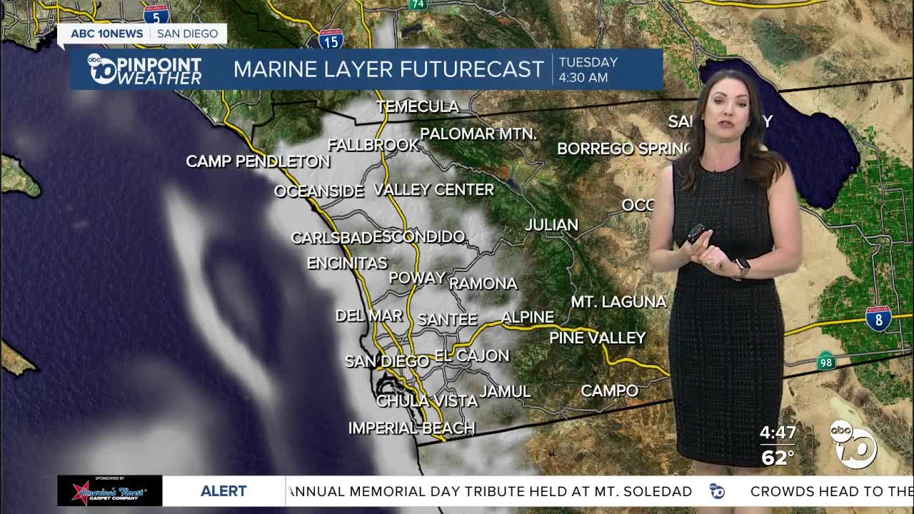 Megan's Forecast: Morning clouds, afternoon sun - Vimarsana News