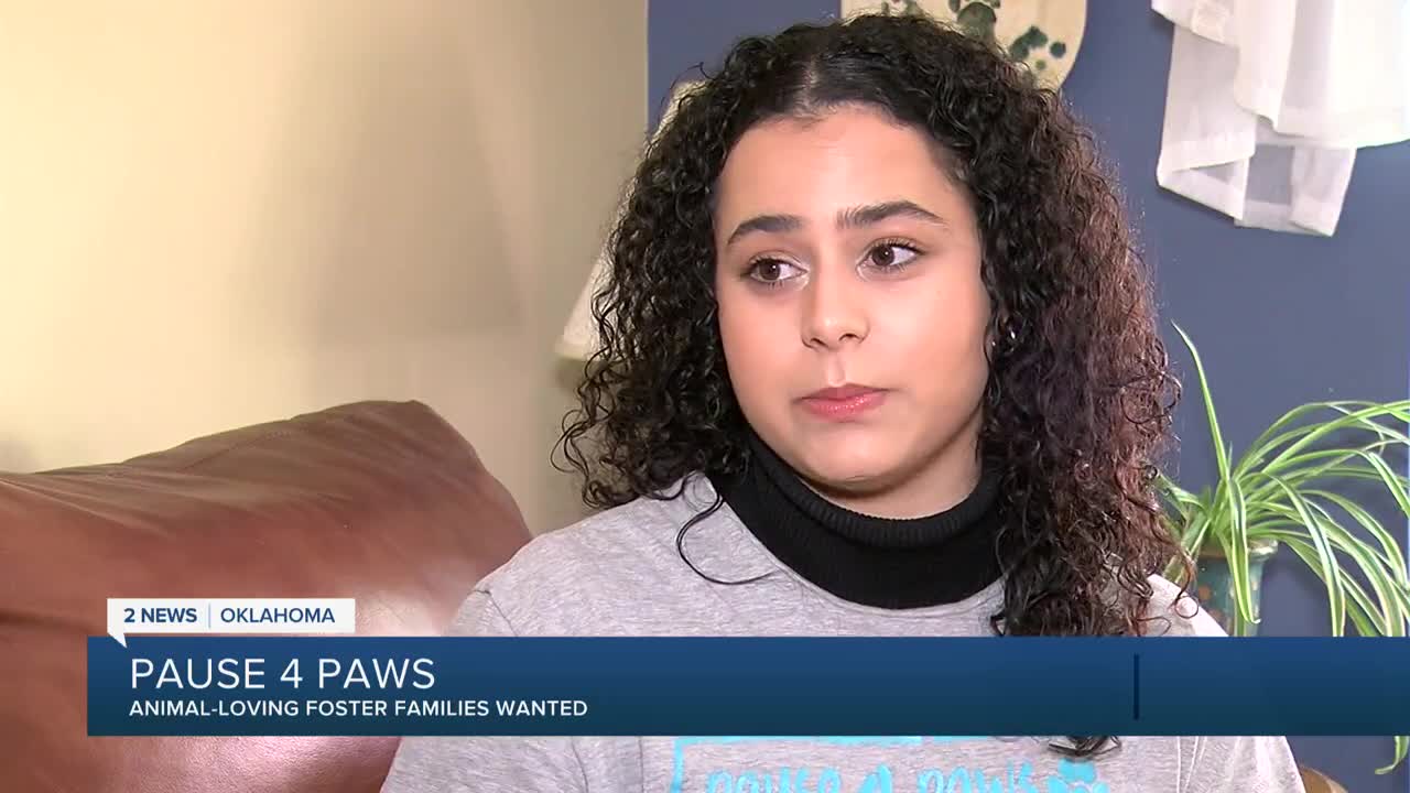 Area non-profit providing animal foster-care for client's seeking treatment - Vimarsana News