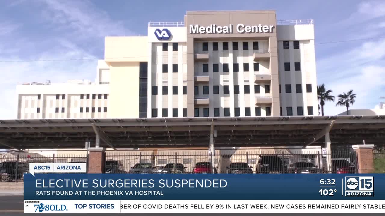 VA Medical Center postponed elective surgeries after rats found in closet - Vimarsana News
