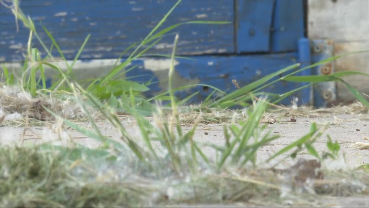 Cheektowaga man concerned about shed on "sinking" property - Vimarsana News