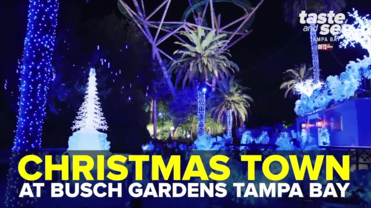 Christmas Town at Busch Gardens showcases millions of lights