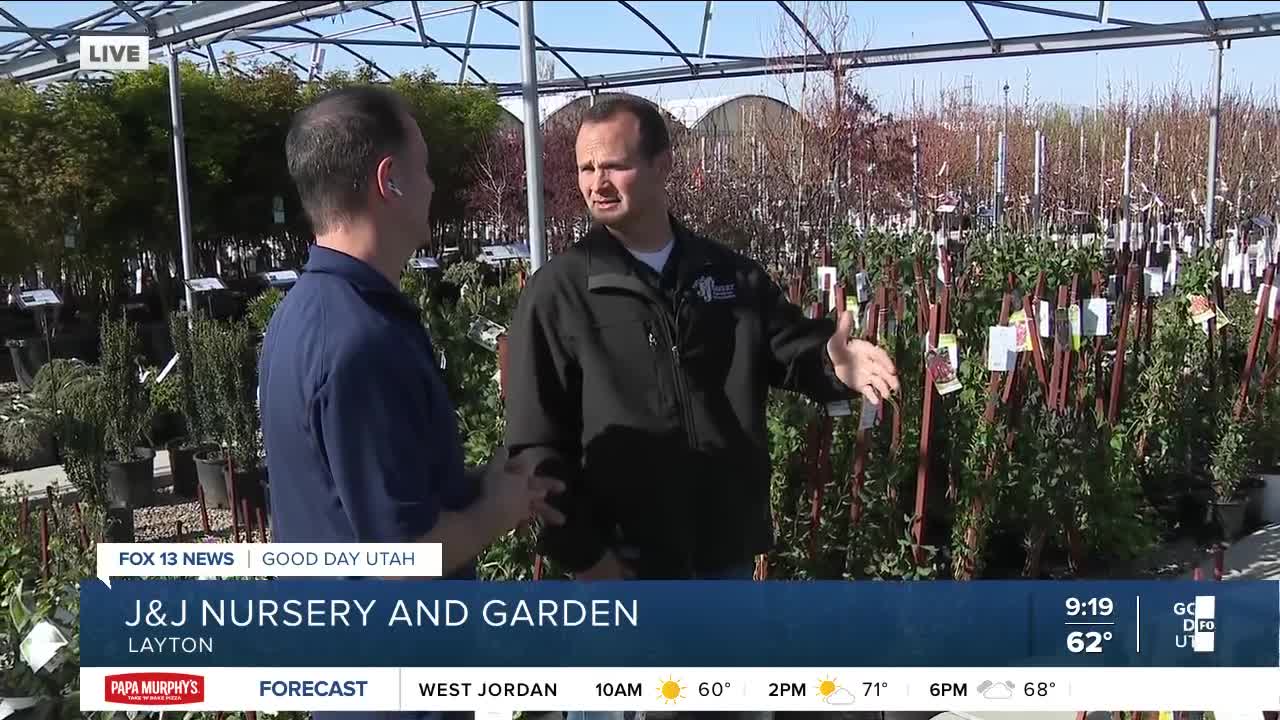 J&J Nursery and Garden Center in Layton