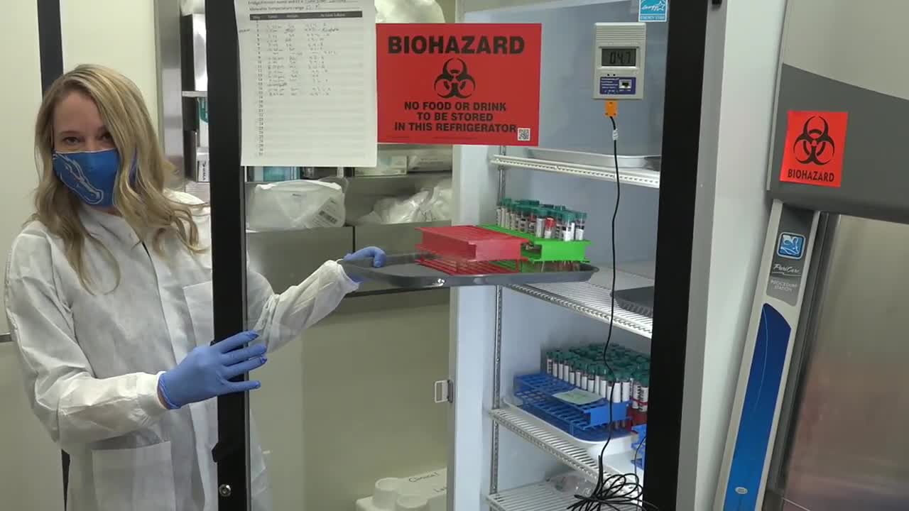 Boise State's first clinical lab helps the university test for COVID19