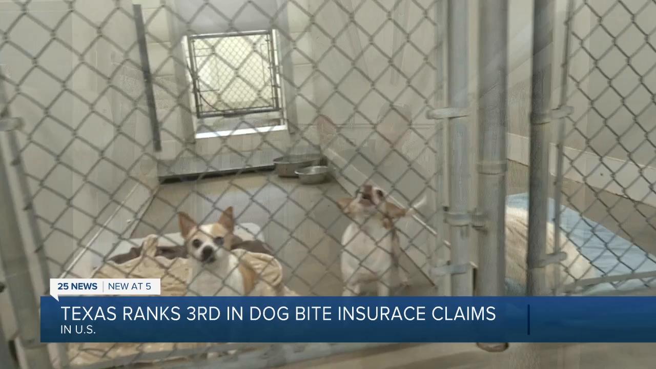 Texas ranked 3rd in number of dog bite insurance claims