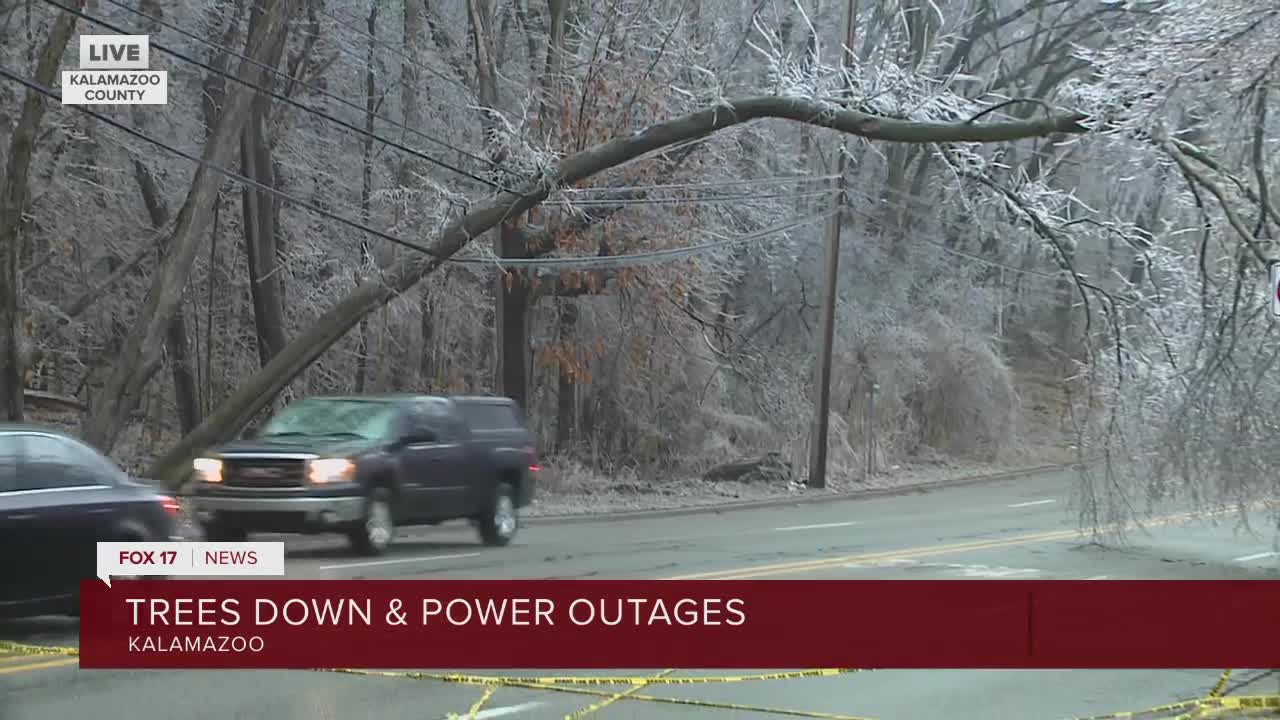 Ice accumulation causing downed trees, power lines in Kalamazoo