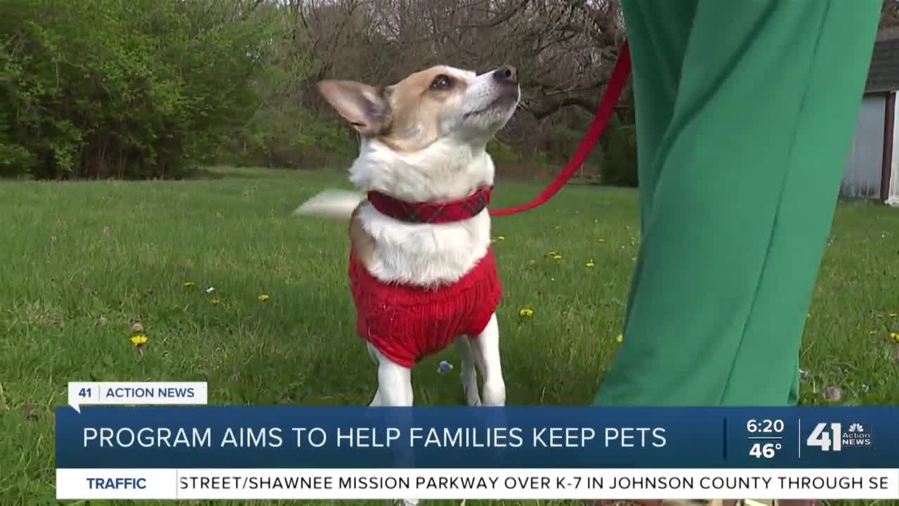 KC Pet Project launches temporary foster program