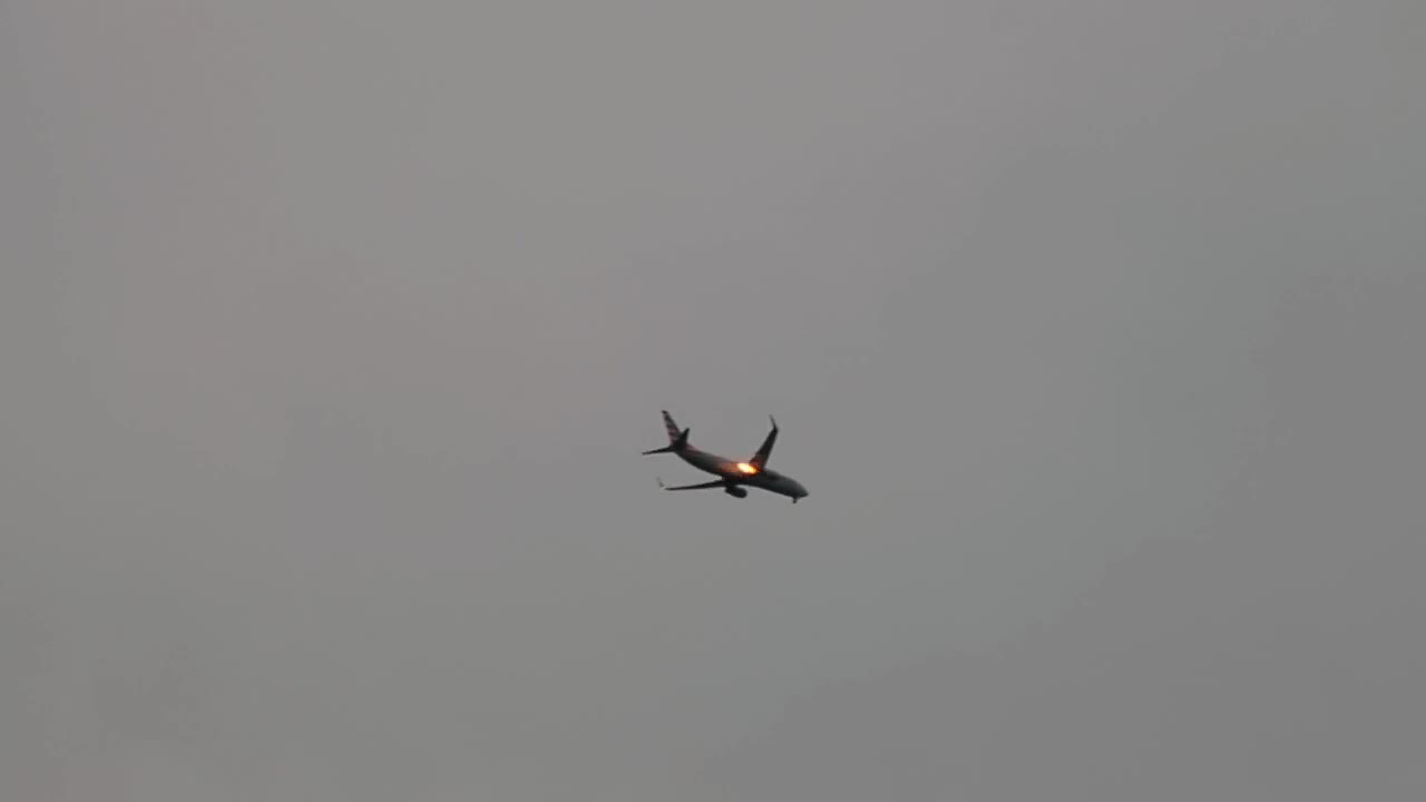 Americans Airlines flight bound for Phoenix diverted after bird strike