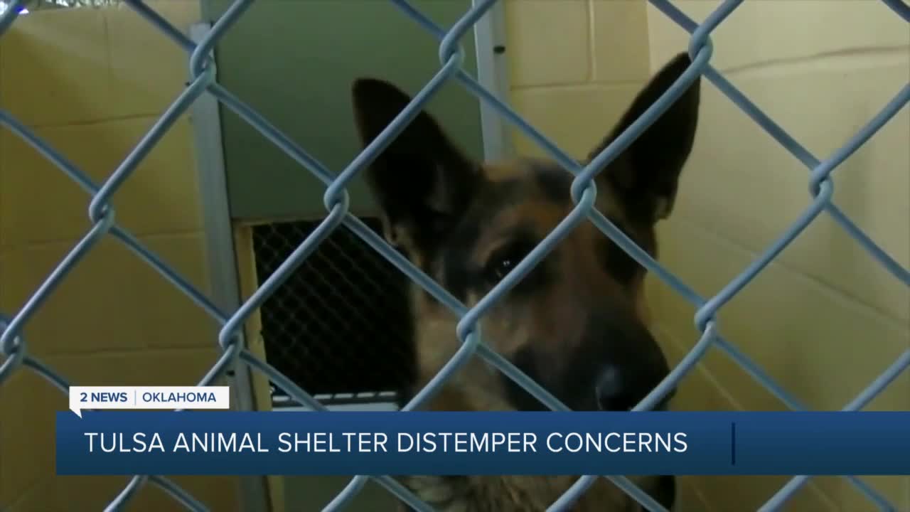 Tulsa Animal Welfare adjusts hours due to distemper cases